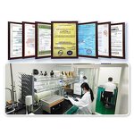 Chinese Yam Powder Manufacturer - Food Grade Vegetable Juice Powder & Yam Extract