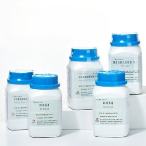 Tryptic Soy Agar Manufacturer - TSA Research Reagent, 250g per Bottle