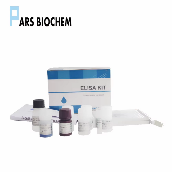 Phosphorylated Tau 217 ELISA Kit Manufacturer - P-Tau217 Protein for Research Use