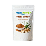 Yucca Schidigera Extract Manufacturer - 60% Sarsaponin Supplement