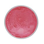 Fiber Supplement GLP-1 Booster Manufacturer - Sugar-Free Drink Mix Powder for Gut Health