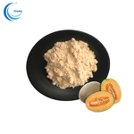 Natural Fruit Juice Powder Manufacturer - Hami Melon Powder