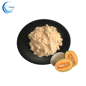 Natural Fruit Juice Powder Manufacturer - Hami Melon Powder