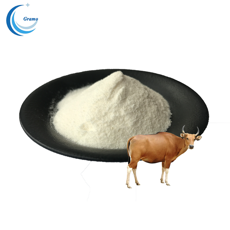 Bovine Bone Collagen Peptide Manufacturer - Natural Animal Protein Powder