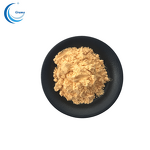 Papaya Powder Manufacturer - Natural Fruit Juice Powder