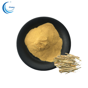 White Willow Bark Extract Powder Manufacturer - 10:1 Ratio, Bulk Supply