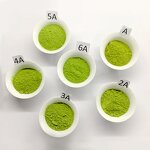 Organic Matcha Green Tea Powder Manufacturer - Food Grade 99% Pure Extract Vacuum Packed