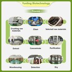 Organic Matcha Powder Manufacturer - Private Label, Etiquette Grade Pure Matcha Green Tea Powder for Wholesale