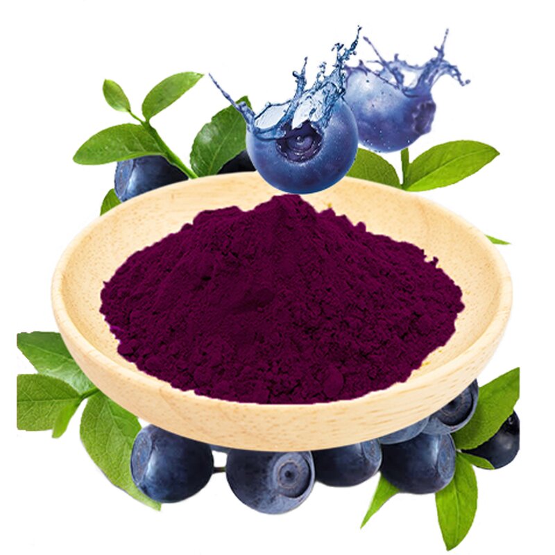 Blueberry Extract Powder Manufacturer - 25% & 46% Anthocyanins, Food Grade Wild Blueberry