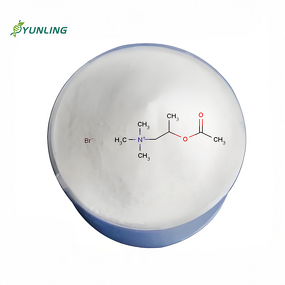 Citicoline Powder Manufacturer - Food Grade 99% L-Choline 62-49-7 Extract for Food & Cosmetic