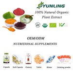 Organic Beetroot Powder Manufacturer - Pure Natural Red Beet Vegetable Powder