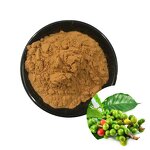 Green Coffee Bean Extract Manufacturer - 10% to 50% Chlorogenic Acid Powder