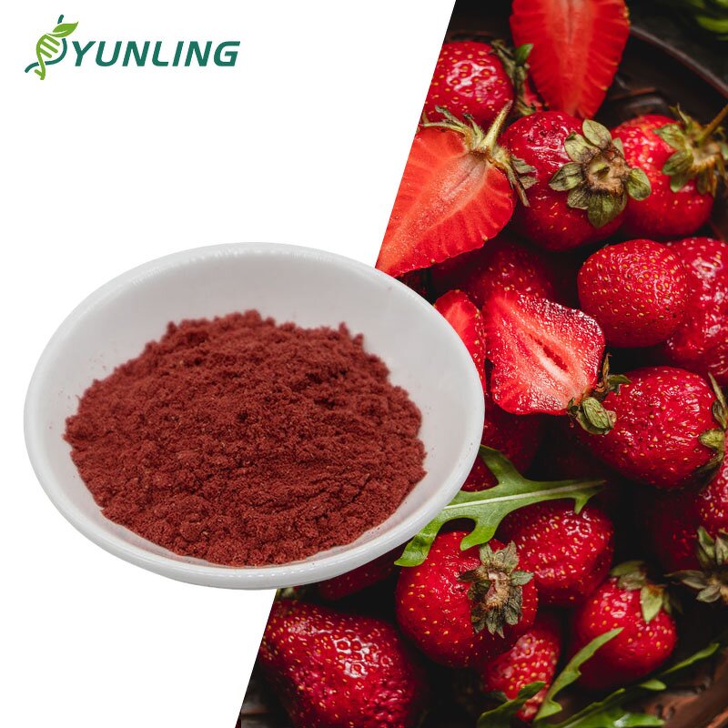 Strawberry Powder Manufacturer - Bulk Organic Vitamin C Powder for Flavoring