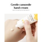 Hand Cream Manufacturer - OEM Camomile Fragrance, Anti-crack & Hydrating for Skin Care