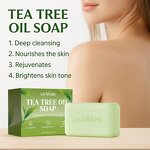 Tea Tree Oil Soap Manufacturer - 100g Antiseptic Solid Bar for Face & Body