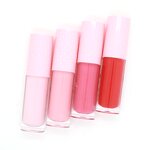 Lip Gloss Kit Manufacturer - 4-Piece Moisturizing Set with Blister Card, Strawberry Flavor for Christmas Gifting