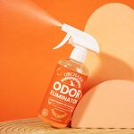 Pet Odor Eliminator Spray Manufacturer - OEM & ODM Sweet Orange Oil for Dog Cat