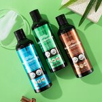 Beard Shampoo Manufacturer - Custom Sandalwood Formula for Men