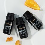 Essential Oil Manufacturer - Private Label Aromatherapy Gift Set with Eucalyptus and Tea Tree