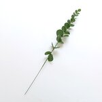 Plastic Artificial Plants Manufacturer - Single Leaf Eucalyptus for Flower Arrangements