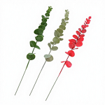 Plastic Artificial Plants Manufacturer - Single Leaf Eucalyptus for Flower Arrangements