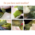 Matcha Tea Mask Manufacturer - Green Tea Herbal Facial Powder for Deep Cleansing Pores