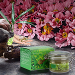 Herbal Green Tea Mask - Blackhead Remover and Acne Treatment Powder