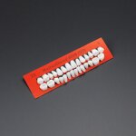 Anterior & Posterior Composite Resin Teeth Manufacturer - for Dental Restoration & Fixed Prosthetics