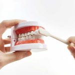 Charcoal Teeth Whitening Powder Manufacturer - Mint Flavored for Home Use