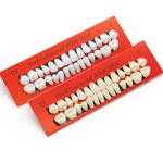 False Teeth Manufacturer - Artificial Teeth for Dental Laboratory & Custom Dentures