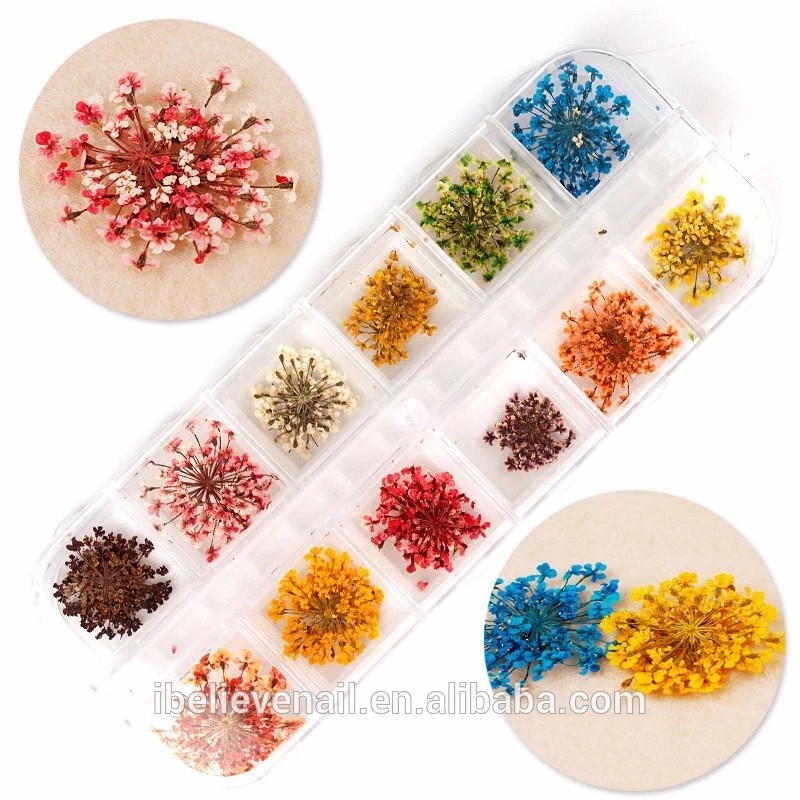 Dried Flower Nail Decoration Manufacturer - Hot Sell DIY Natural Plant 3D Real Dry Flower