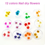 Dried Flower Nail Decoration Manufacturer - Hot Sell DIY Natural Plant 3D Real Dry Flower