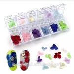 Dried Flower Nail Decoration Manufacturer - Hot Sell DIY Natural Plant 3D Real Dry Flower