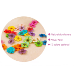 Dried Flower Nail Decoration Manufacturer - Hot Sell DIY Natural Plant 3D Real Dry Flower
