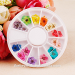 Dried Flower Nail Decoration Manufacturer - Hot Sell DIY Natural Plant 3D Real Dry Flower