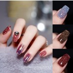 UV Led Nail Gel Polish Factory - Wholesale New Designs Non Toxic Disco Shiny Reflection