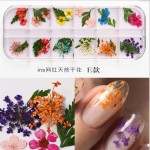 Dry Flower Nail Stickers Factory - Professional Good Quality Natural 3D Dried Flowers Decals