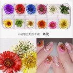 Dry Flower Nail Stickers Factory - Professional Good Quality Natural 3D Dried Flowers Decals