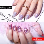 Holographic Nail Powder Manufacturer - Charm Chameleon Laser Powder Holographic Nail Powder