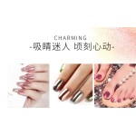 Holographic Nail Powder Supplier - Professional Chrome Magic Mirror Powder Set Bulk for Salon