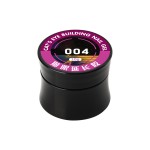 Cat Eye Extension Gel Supplier - Hot Sell 6 Colors Concentrated Finish Salon UV Polish Glue