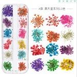 Dry Flower Nail Stickers Factory - Professional Good Quality Natural 3D Dried Flowers Decals