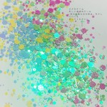 Holographic Nail Stickers Factory - New 5D Hot Stamping Ultra-thin Hollow Glitter Sequins