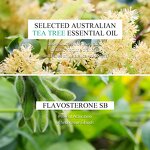 Tea Tree Facial Cleanser Manufacturer - Deep Cleansing Face Wash for Acne