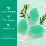 Tea Tree Soap Manufacturer - Natural Essence Deep Cleaning Handmade Soap