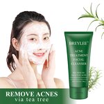 Tea Tree Face Cleanser Manufacturer - Custom Private Label Organic Anti-Aging Formula for Oily Skin