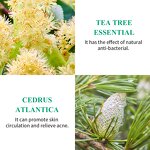 Tea Tree Acne Care Facial Manufacturer - OEM Pimple & Skin Care Treatment