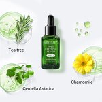 Tea Tree Oil Serum Manufacturer - Pore Refining & Skin Tightening Nose Serum