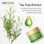 Private Label Tea Tree Scar Repair Cream Manufacturer - Pimple Removal Face Cream