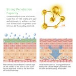 Plant Serum Manufacturer - Anti-Aging Moisturizing Soothing Repair Face Care